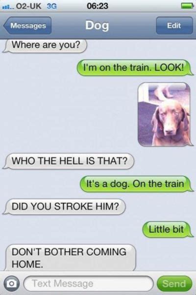 If Dogs Could Text Youd Have Conversations Like This 11 Pics