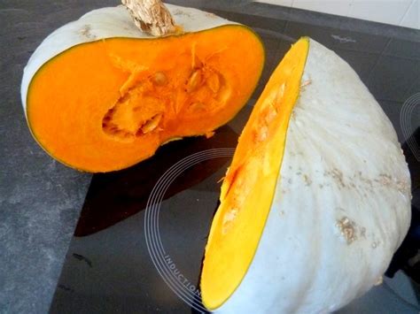 PURÉE DE POTIRON BLEU DE HONGRIE