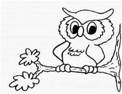 La Chachipedia: Dibujos de Búhos para colorear, para imprimir y gifs