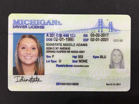 Fake Michigan Drivers License Template Bapiam