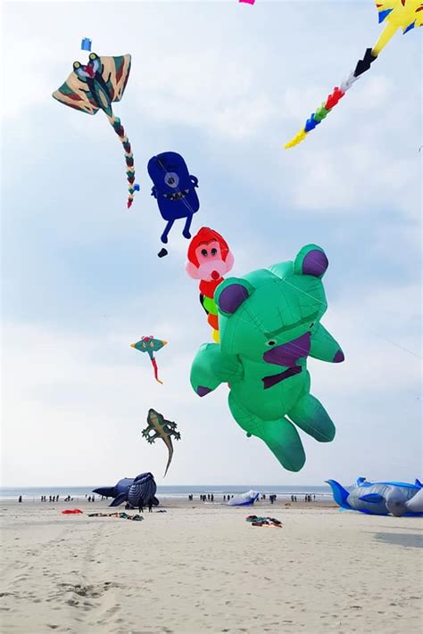 Le festival des cerfvolants à Berck  un émerveillement