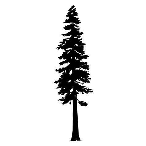 Redwood Tree Silhouette By Katedill0n Redbubble