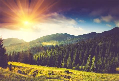 Beautiful Summer Mountain Landscape At Sunshine Stock Photo Image Of