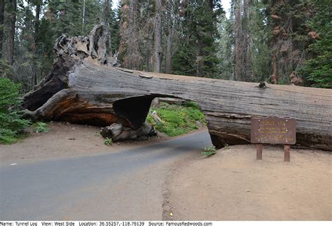 If not specified, the base of the logarithm is assumed to be either 2, 10, or e, depending on context: Tunnel Log - Famous Redwoods