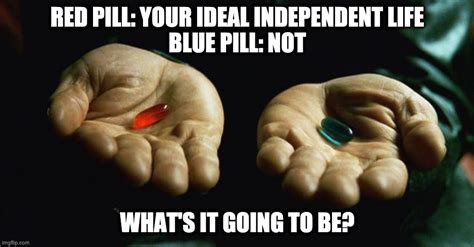 Red Pill Blue Pill Memes And S Imgflip