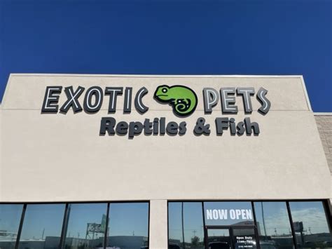 Local Spotlight Exotic Pets Wichita By Eb