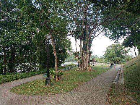Check out nparks' macritchie map for all the trails. MacRitchie Reservoir & Nature Trail Walk - Park Map, Singapore
