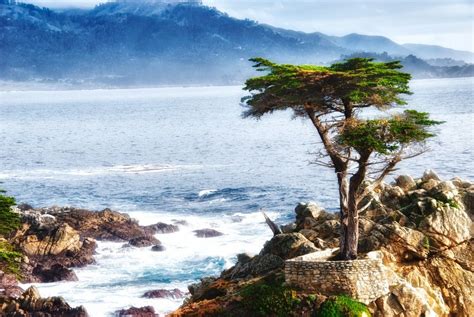 The Lone Cypress And The 17 Mile Drive West Coast Road Trip Lone