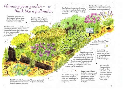Think Like A Bee Planning Your Garden Bee Garden School Garden