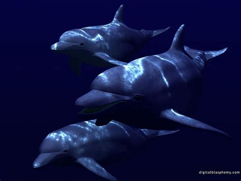 Free Download Animal Anime Navigation Home Dark Dolphins 59623 Cool