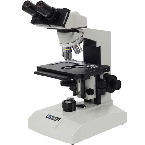 Bio Test Microscopes Diagram Quizlet