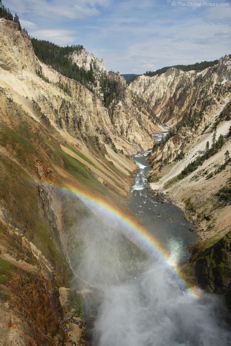 Rainbow In The Grand Canyon Of Yellowstone