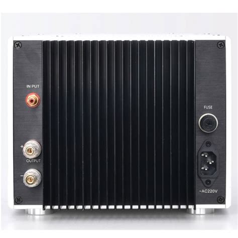Brzhifi T Dual Mono Power Amplifier Wx Assembled Refer To