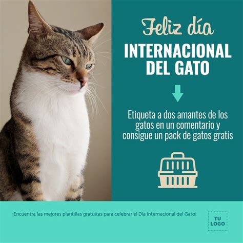 Carteles De Día Internacional Del Gato Día Internacional Del Gato