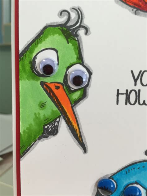 Crazy Birds Funny Greeting Card On Storenvy