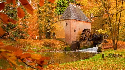 Forest Watermill Forest Autumn Leaves Watermill Hd Wallpaper Peakpx