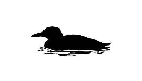 Duck Swimming Art Png Clip Art Pngimagespics