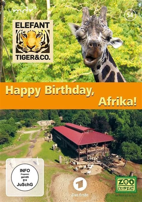 Elefant Tiger And Co Happy Birthday Afrika 1 Dvd Film Weltbildde