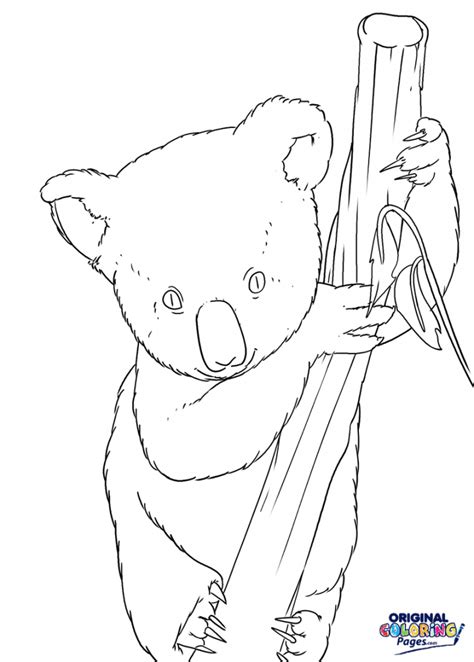 Koala Bear Coloring Page – Coloring Pages – Original Coloring Pages