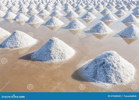 Salt In Sea Salt Farm Ready For Harvest Thailand Stock Photo Image