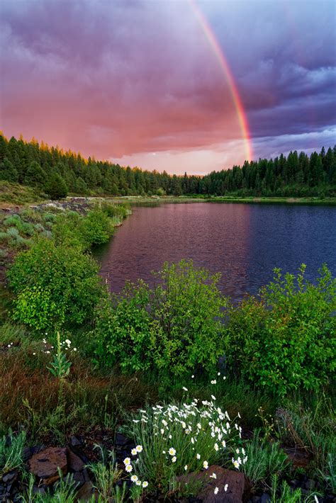 Malheur National Forest