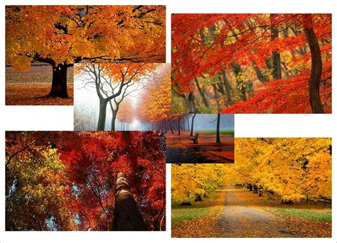 Windows Autumn Desktop Wallpaper Wallpapersafari