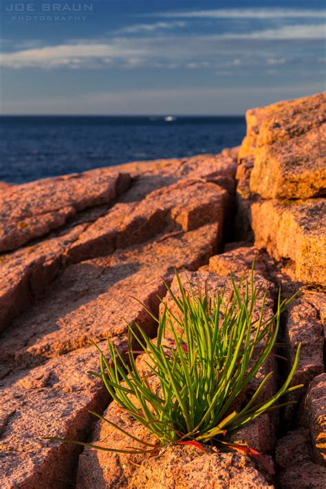 Joes Guide To Acadia National Park Ocean Path Photos