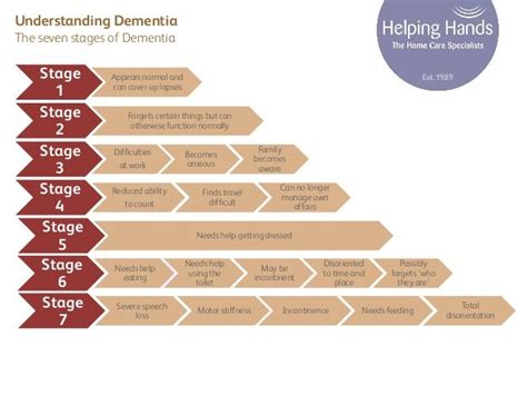 The Seven Stages Of Dementia Stages Of Dementia Dementia