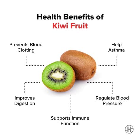 Kiwi Fruit Benefits Nutrition And Kiwi For Weight Loss Healthifyme
