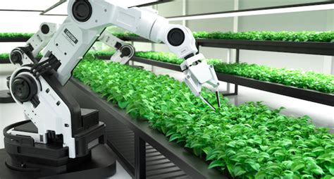 A Harvesting Robot And The Future Of Farming Hortimedia