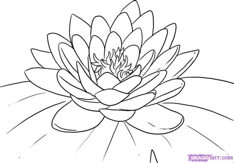 You can print or color them online at getdrawings.com for absolutely free. Large Image - Step 5. How to Draw a Lotus Flower, Water ...