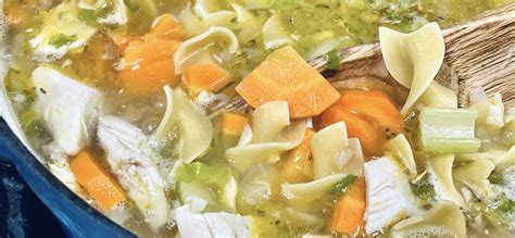 “Feed a Cold” Hearty Chicken Noodle Soup | Ulysses Press