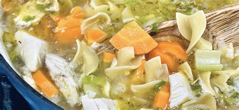 “Feed a Cold” Hearty Chicken Noodle Soup | Ulysses Press