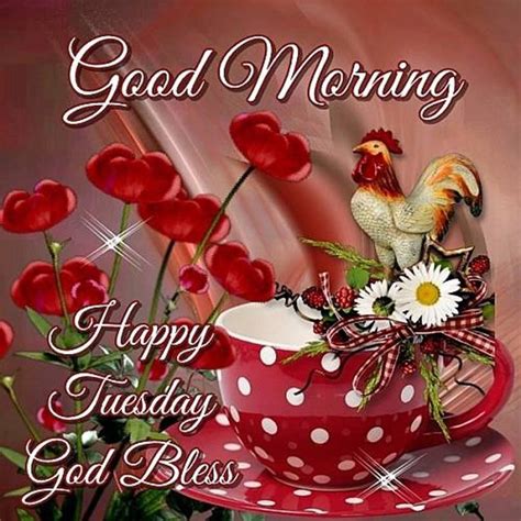 Good Morning Happy Tuesday God Bless Image Pictures Photos And Images