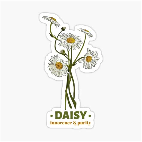 Daisy Innocence And Purity Sticker For Sale By Botaniquestyle Redbubble