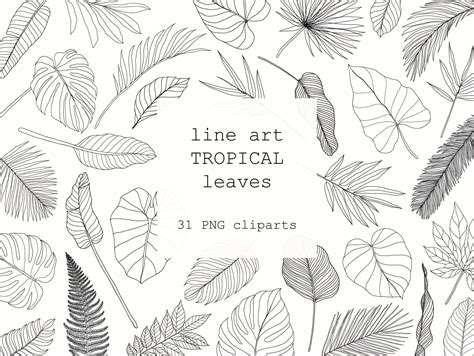 Tropical Line Art Leaves Clipartbotanical Illustration Black White