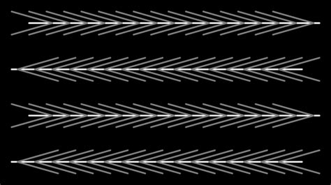 Anomalous Motion Illusion 18