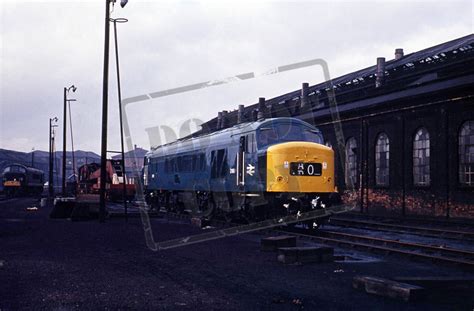 Rail Online Class 46 Peak D161 1967 02 19 Derby Shed