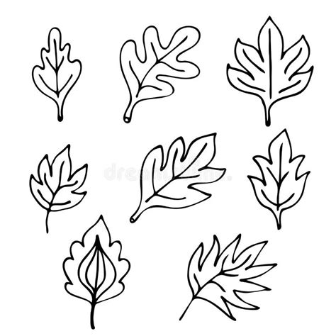 Hand Drawn Leaves Set Isolated On White Background Design Elements For