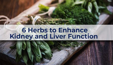 6 Herbs To Enhance Kidney And Liver Function Bile Duct Cancer Kidney