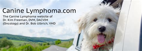 Canine Lymphoma Progression Canine Lymphoma