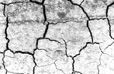 448 Arid Nature Closeup Crack Soil Black White Texture Photos Free