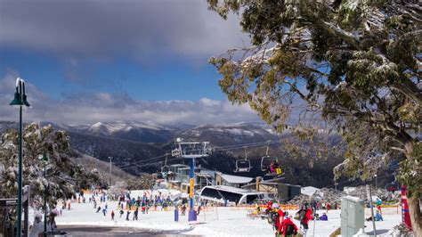 Mt Buller Snow Day Tour With Lesson Beginner Adult