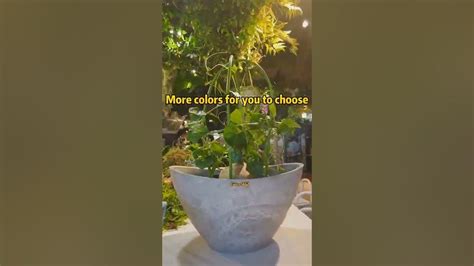 Ingot Shape Colorful Plant Pots Good Choice To Decorate Your Home And