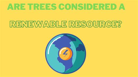 Why Are Trees Considered A Renewable Resource