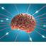 Why Does The Brain Use So Much Of Body’s Energy – WellnessMonsterscom
