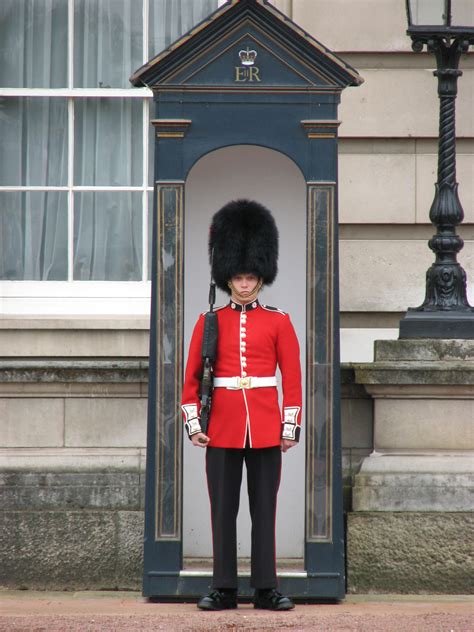 Filestrażnik Przed Pałacem Buckingham Buckingham Guard