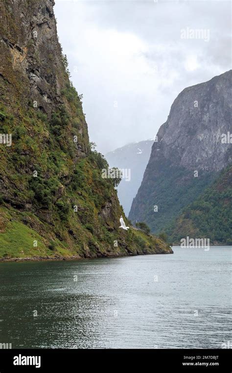 This Is Naeroyfjord An Offshoot Of The Sognefjord Which Is The