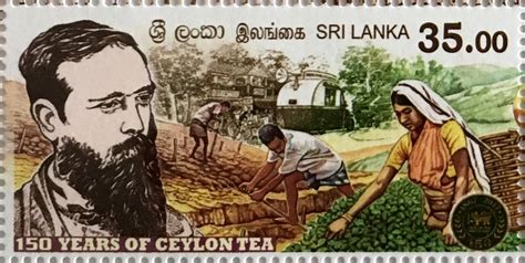 The History And Progression Of Ceylon Tea · Yamu