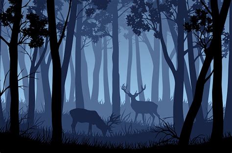 Vector Blue Night Forest Landscape With Silhouettes Of Trees And Two